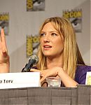 SDCC_2010_Panel_2830629.jpg