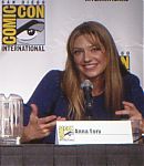 SDCC_2010_Panel_2830929.jpg